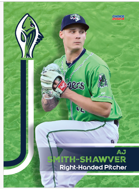 Gwinnett Stripers 2024 Team Card Set