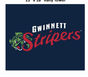 Gwinnett Stripers Rally Towel